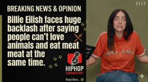 Billie Eilish sparks internet war, Billie Eilish meat comments, Billie Eilish backlash, Billie Eilish vegan, eating meat debate, animal rights, celebrity controversy, vegan controversy, Billie Eilish news, social media debate